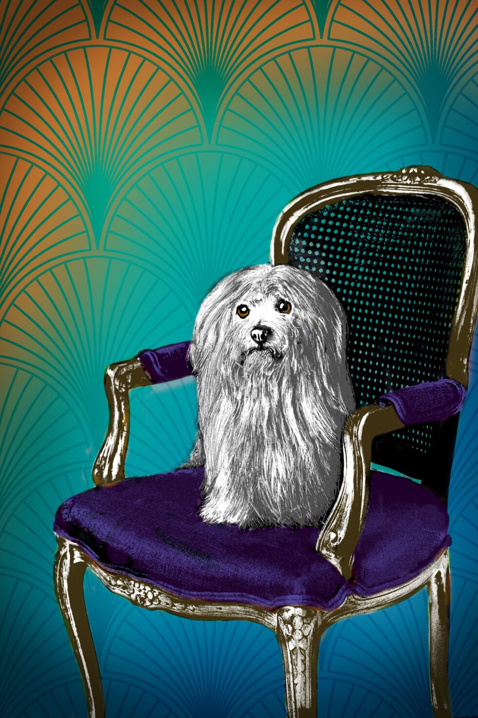 pop-art-portraits-portrait-photography-10-min-scaled