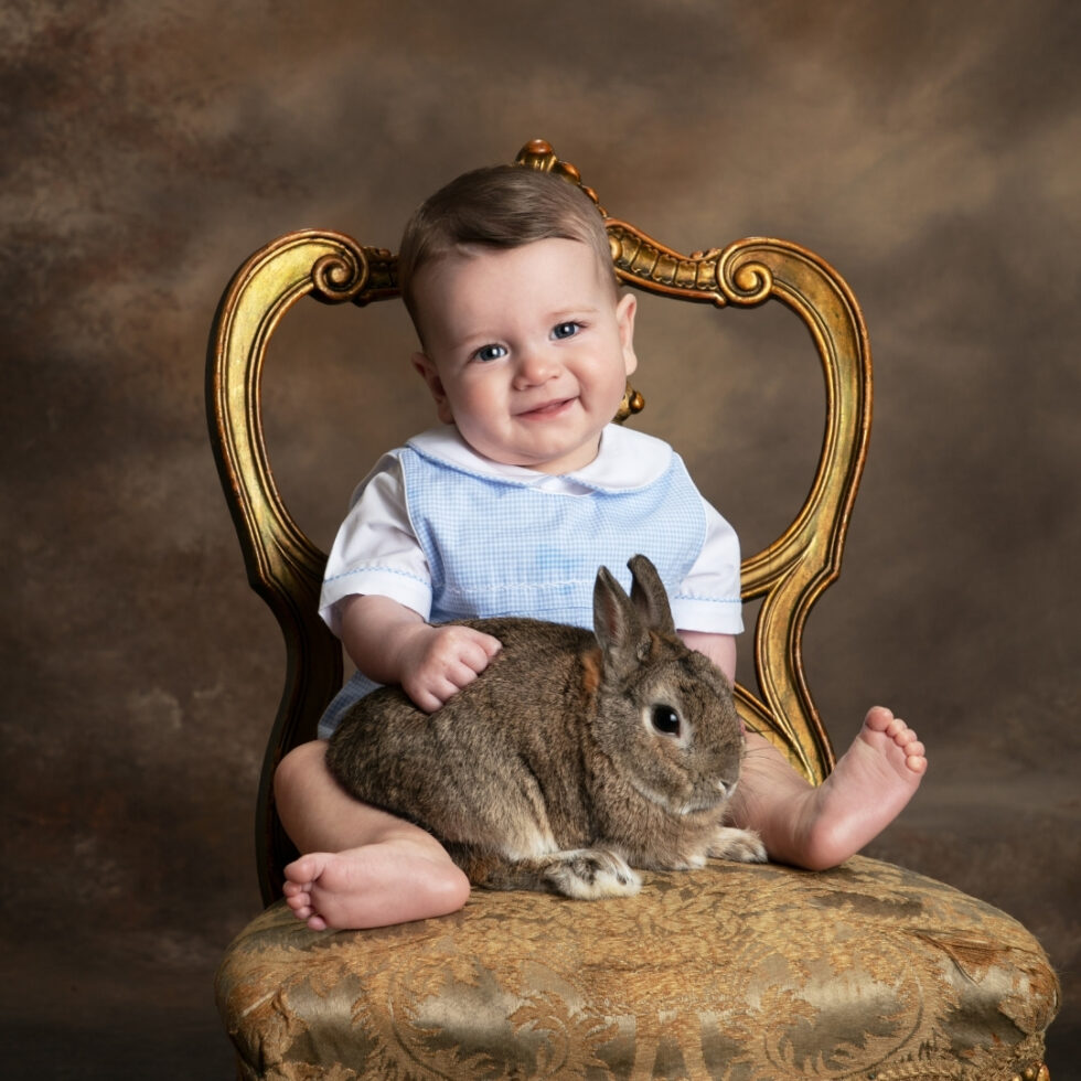 ©Gittings-Bunnies-08