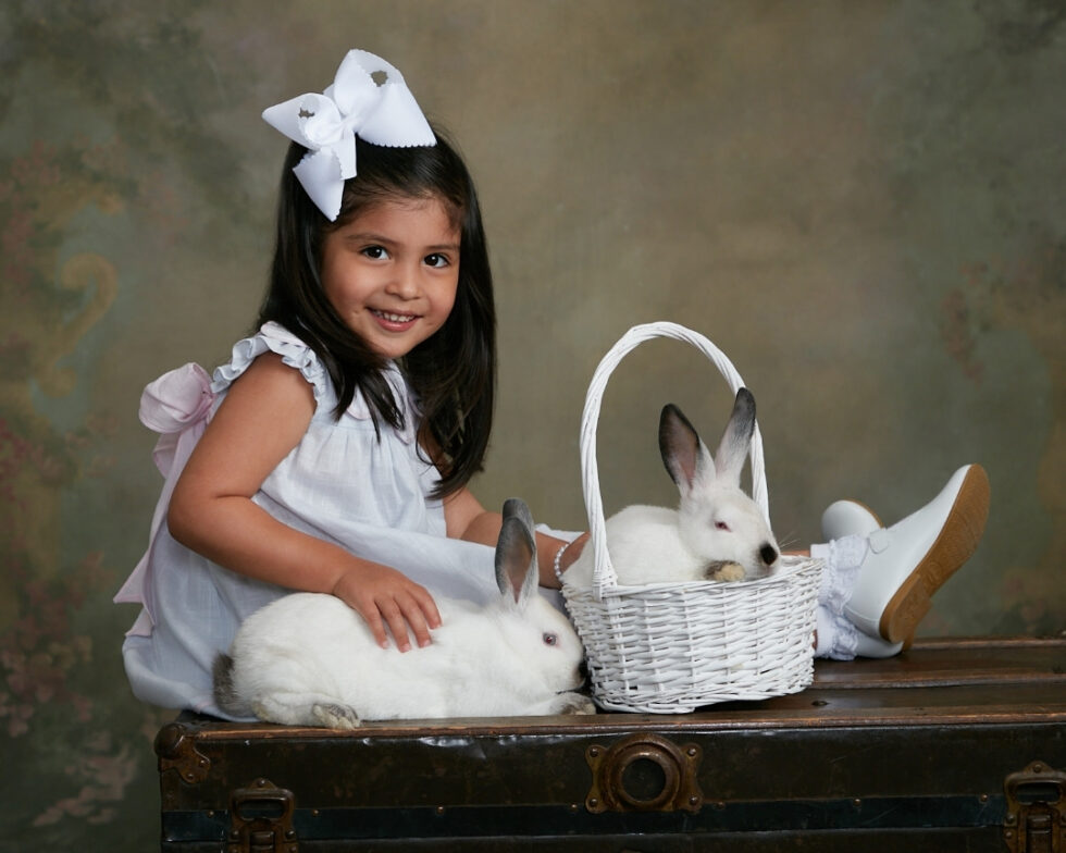 ©Gittings-Bunnies-10