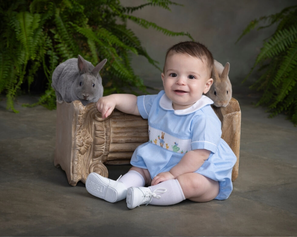 ©Gittings-Bunnies-25