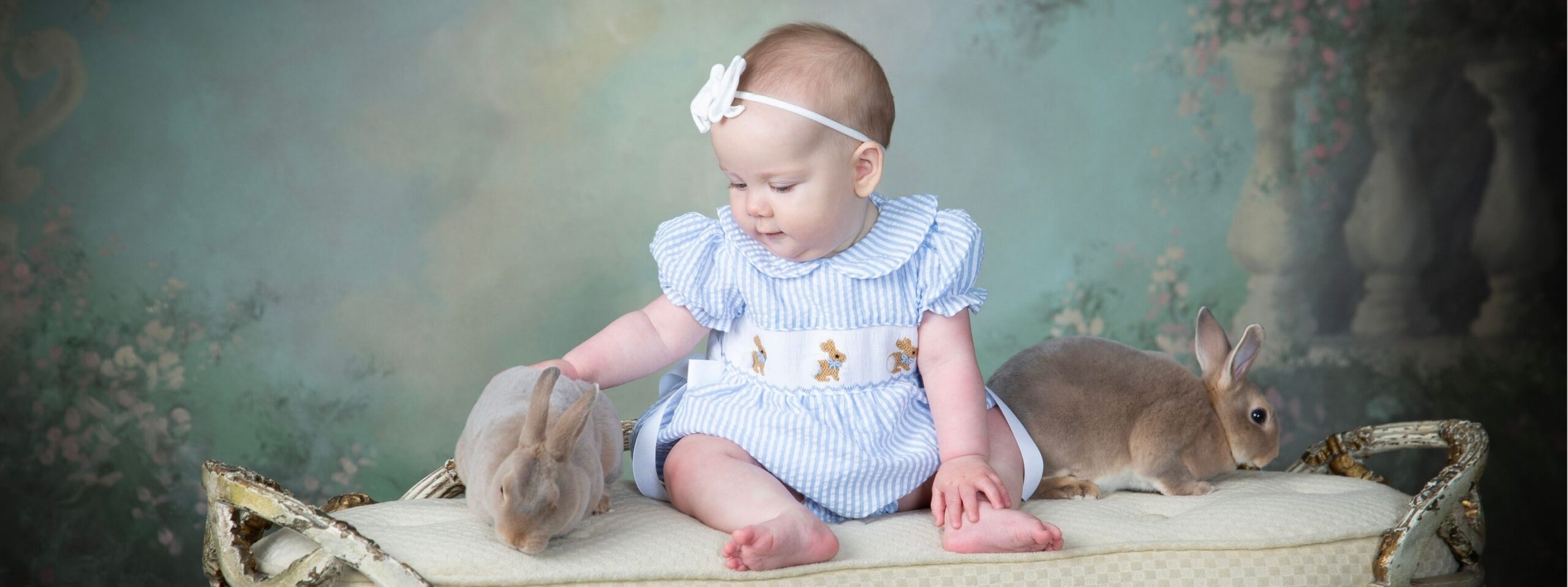 ©Gittings-Bunnies-Baby-2 (1)