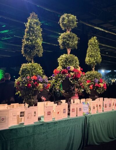 ©Gittings_Jcb_World_Of_Wonder_Event_4