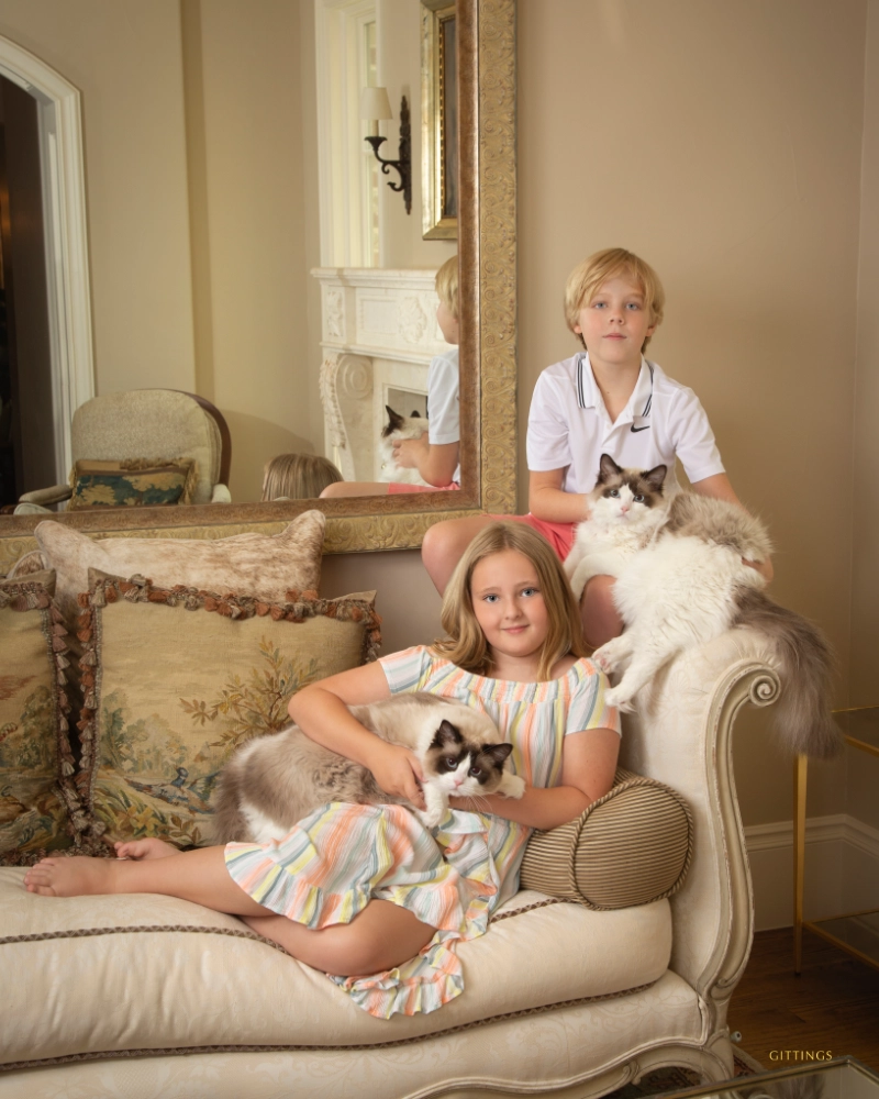 ©Gittings_indoor_pet_portrait_kids_with_cats