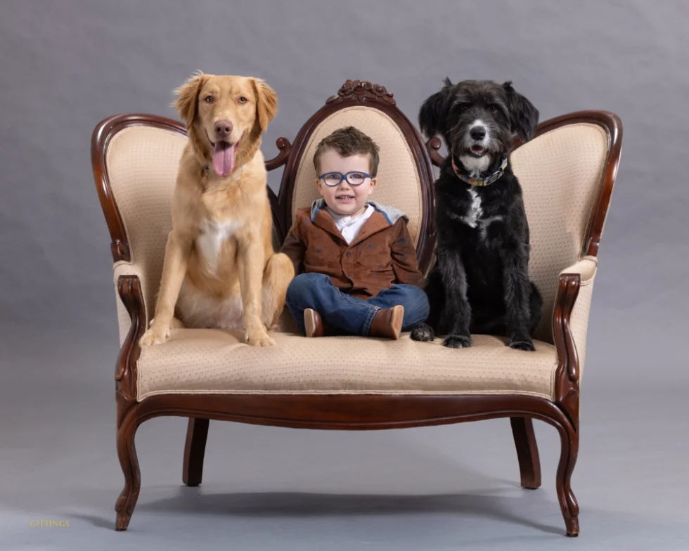©Gittings_studio_pet_portrait_child_with_two_dogs